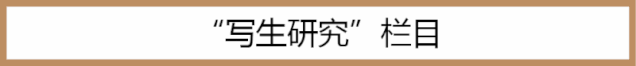 【写生研究】与自然交流:王滨潮 【写生研究】与自然交流:王滨潮