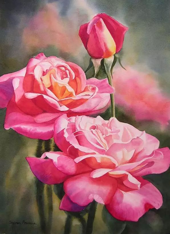 太美了   一组非常漂亮的手绘玫瑰花