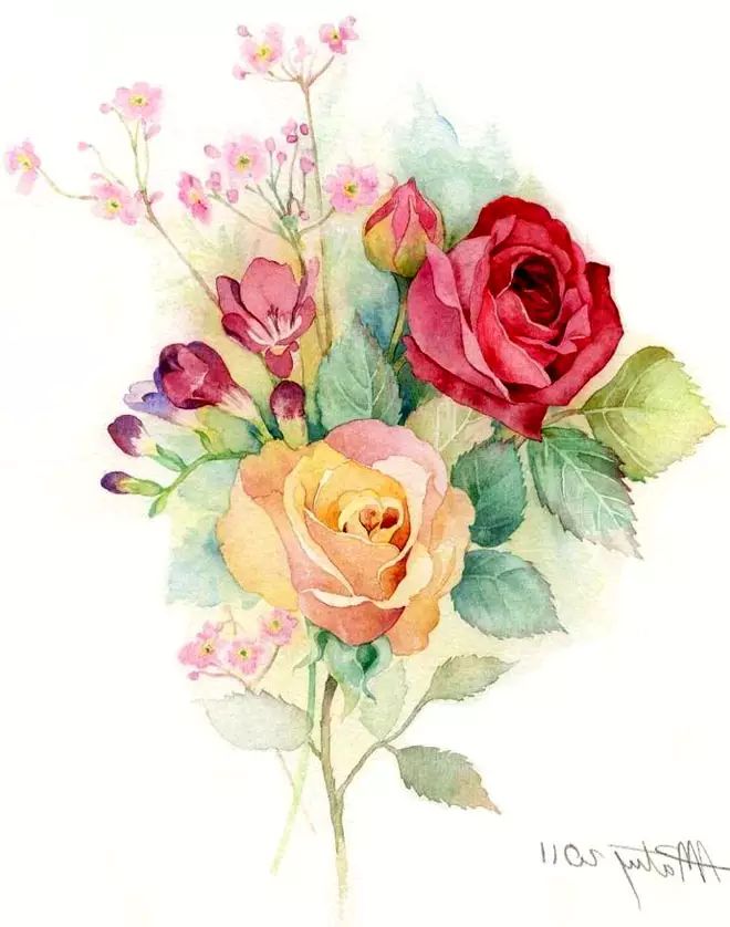 太美了   一组非常漂亮的手绘玫瑰花
