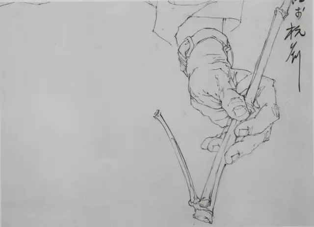 国美与央美​教授的线性素描作品