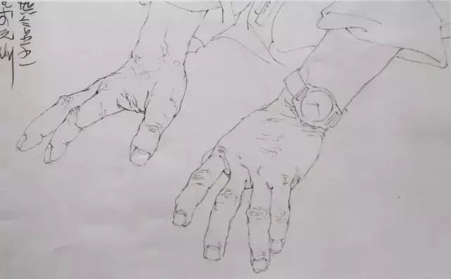 国美与央美​教授的线性素描作品