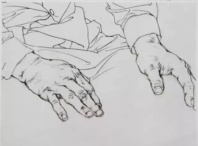 国美与央美​教授的线性素描作品