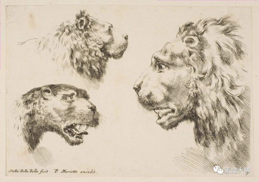 350多年前的动物素描，意大利杰出画家斯蒂法诺·德拉·贝拉作品