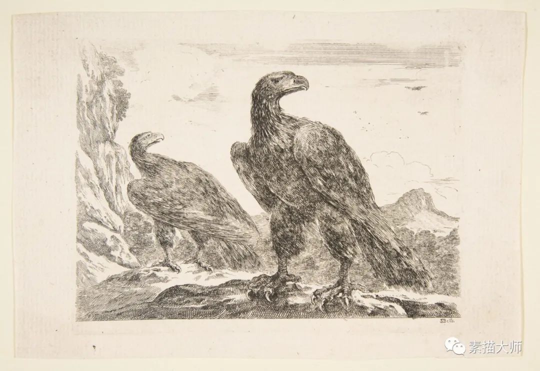 350多年前的动物素描，意大利杰出画家斯蒂法诺·德拉·贝拉作品