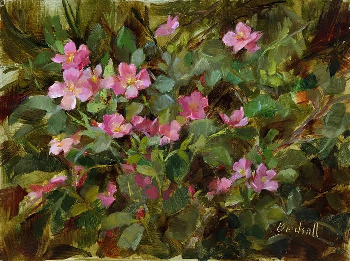 很哇塞的静物花卉,美国画家斯蒂芬妮·伯德索尔作品 很哇塞的静物花卉,美国画家斯蒂芬妮·伯德索尔作品