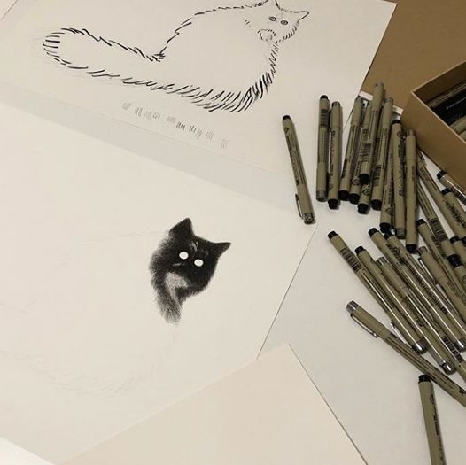 他用针管笔“撸猫”，网友惊唿：这猫要活了!