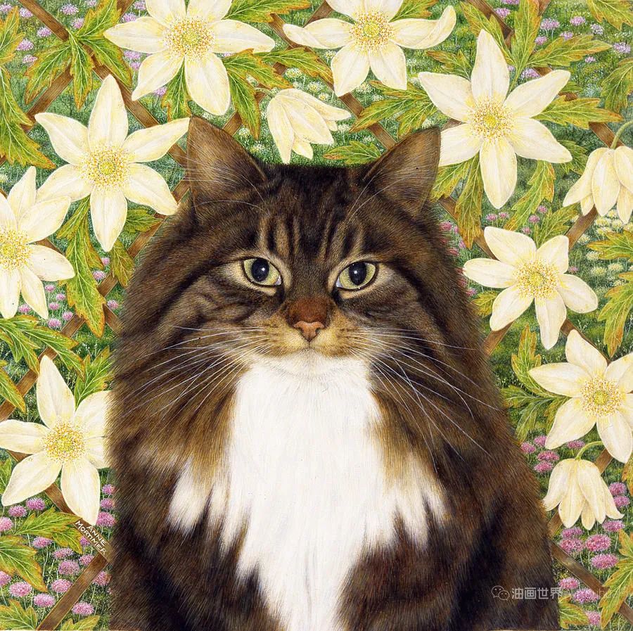 安妮·莫蒂默：最好的英国当代猫咪画家之一
