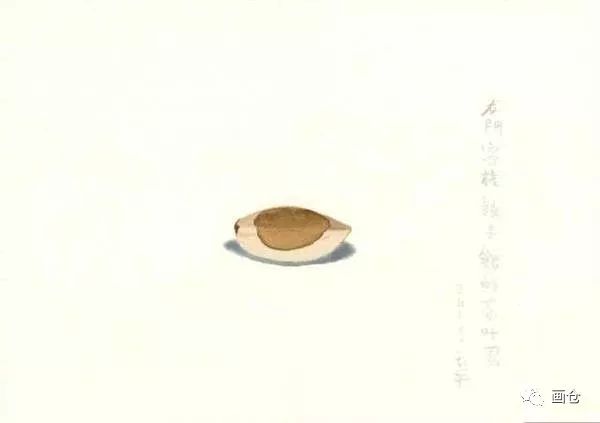 王玉平丨绘画