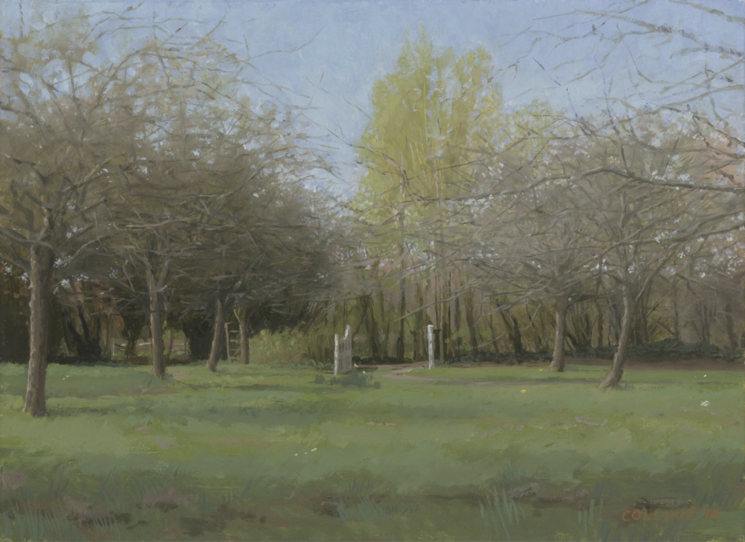 Jacob Collins 雅各布·柯林斯 油画作品欣赏下载 Jacob Collins 雅各布·柯林斯 油画作品欣赏下载