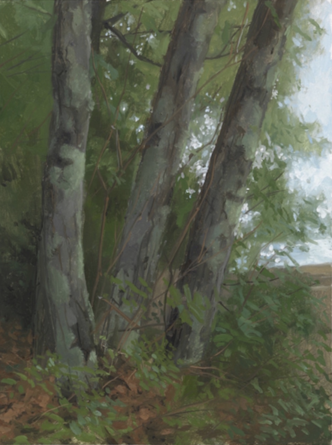 Jacob Collins 雅各布·柯林斯 油画作品欣赏下载 Jacob Collins 雅各布·柯林斯 油画作品欣赏下载