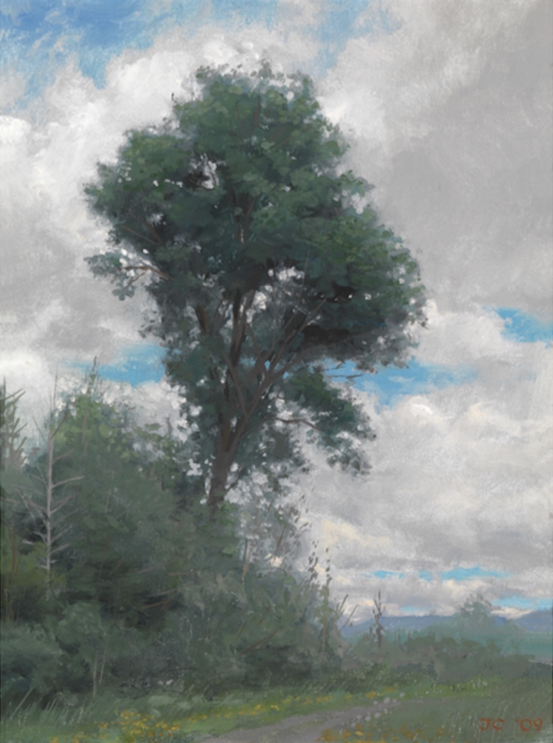 Jacob Collins 雅各布·柯林斯 油画作品欣赏下载 Jacob Collins 雅各布·柯林斯 油画作品欣赏下载