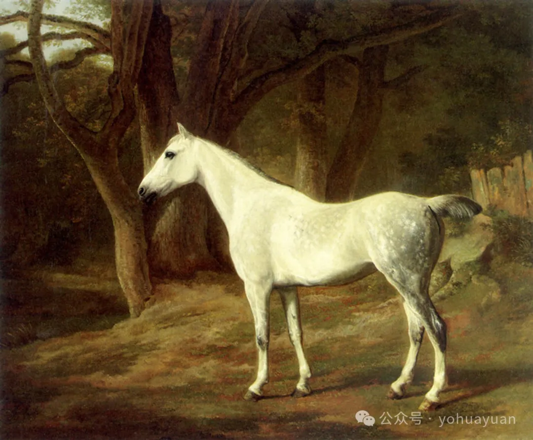 雅克·阿加斯 Jacques-Laurent Agasse 动物油画作品欣赏下载